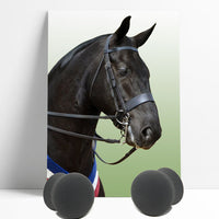 Perform Equine Ear plugs